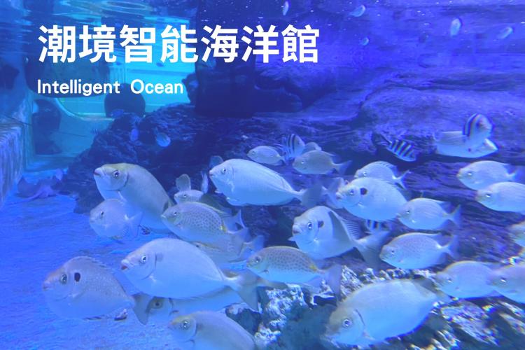 潮境智能海洋館(不含B區互動設施)