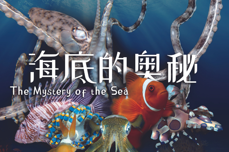 海底的奧秘 (8K數位)  The Mystery of the Sea (8K DIG)